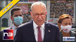 SCHUMER: Dems To Shove Through Mass Amnesty For Illegals With “Alternative” Move