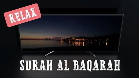 Relax | Surah Al Baqarah | Quran and Natural Sounds | Beach Birds | for study, work, and sleep