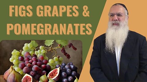 Mishna Brachot Chapter 6 Mishnah 8. Figs grapes & pomegranates
