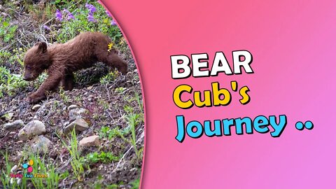 The Bear Cub's Courageous Journey