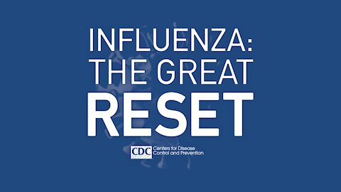 The Great Reset of Influenza in 2022