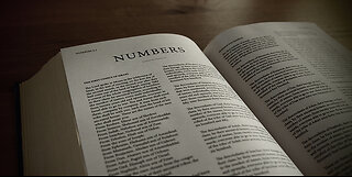 Numbers 14:11-25 (A Year for Each Day, Part II)