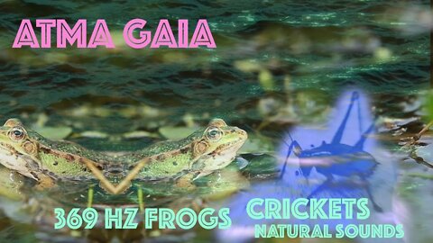 FRECUENCIA 369 HZ - MEGA RELAXATION WITH FROG SOUND AND CRICKETS - NATURAL SOUND HEALING