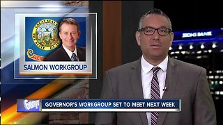 Governor's salmon work group starts work June 28
