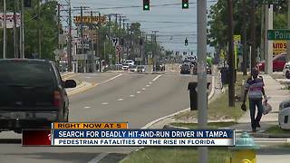 Police search for driver who hit, killed woman on Nebraska Avenue in Tampa