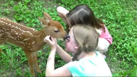 Baby Deer Loving to Baby Girls