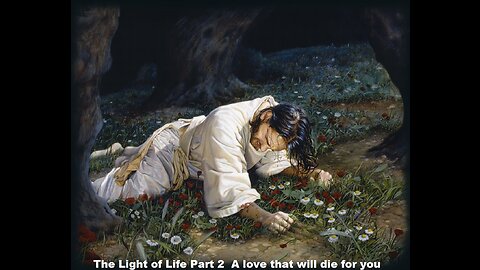 The Light of Life Part 2 A love that will die for you
