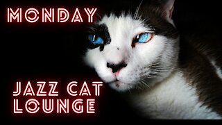 Enjoy very cool jazz at JAZZ CAT LOUNGE MONDAY