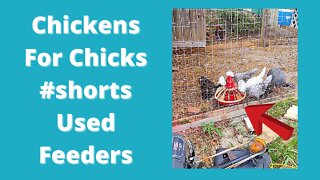 Using What You Have - Used Chicken Feeders #Shorts