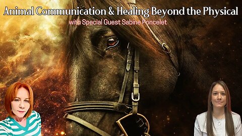 Animal Communication and Healing Beyond the Physical with Sabine Poncelet & Sherri Divband