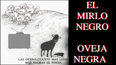 oveja negra