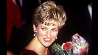 Princess Diana would have haulted Harry's Oprah interview