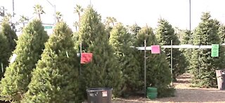 Max Pawn Shop giving free trees to first responders