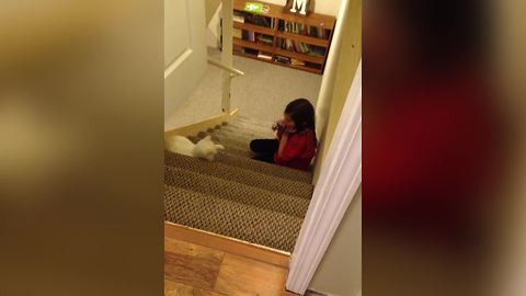 Girl Rings In The New Year By Annoying Her Cat