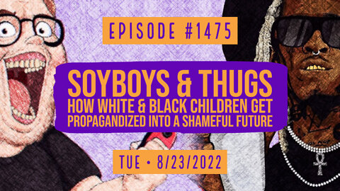 #1475 Soyboys & Thugs, How White & Black Children Get Propagandized Into A Shameful Future