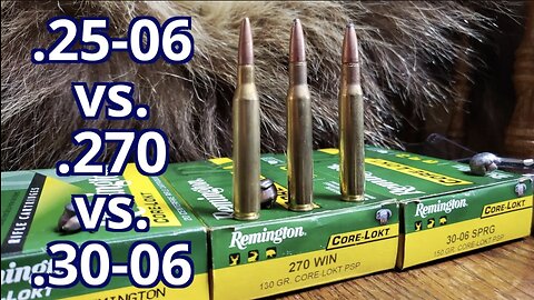 .25-06 rem vs. .270 win vs. .30-06 Springfield Remington Corelokt