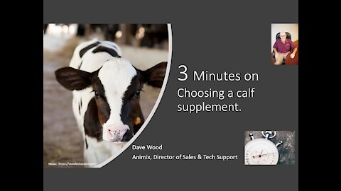 3 Minutes on Choosing a Calf Supplement