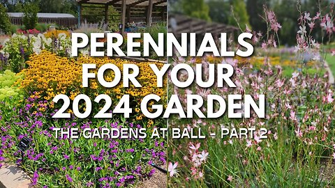 Bright, Beautiful Perennials for Your 2024 Garden - The Gardens at Ball Tour - Part 2🌿😀