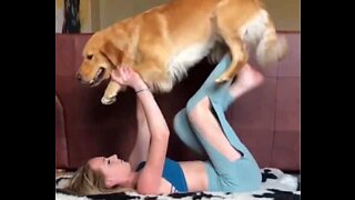 Dog and owner do yoga poses together