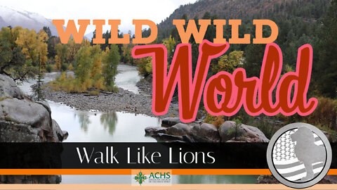 "Wild Wild World" Walk Like Lions Christian Daily Devotion with Chappy July 13, 2022