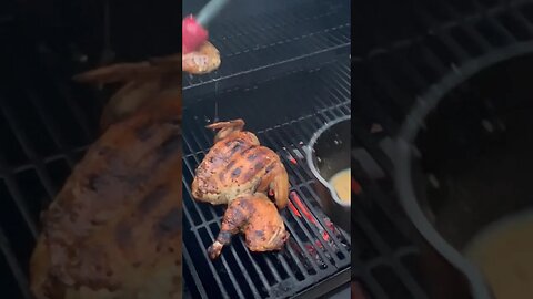 SPATCHCOCK GRILLED CHICKEN | ALL AMERICAN COOKING #shorts #spatchcock #grilledchicken
