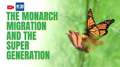 The Monarch Migration and the Super Generation | Local 21 CBS LIVE 🔴