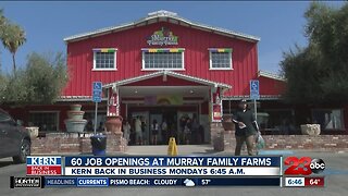 Kern Back In Business: Murray Family Farms needs 60 new employees for October Fun Fest
