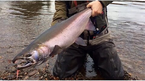 "Its All About The Twitch" | Fall Coho Salmon Fishing With Jigs & Eggs