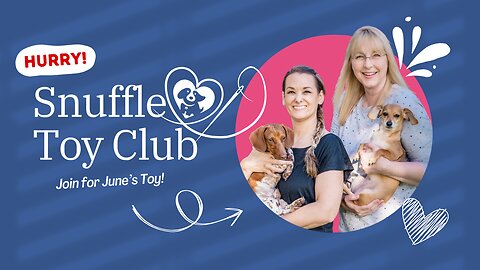 LAST DAY for June Snuffle Toy Club Sign Up