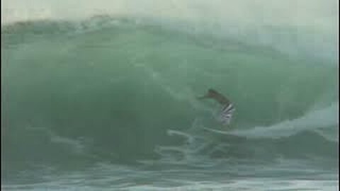 Joel Parkinson/Andy Irons - last waves of the day