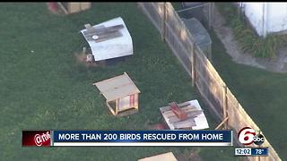 More than 200 birds rescued from home