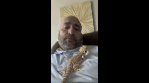 My #beardeddragon Jerry and me having a heart to heart.