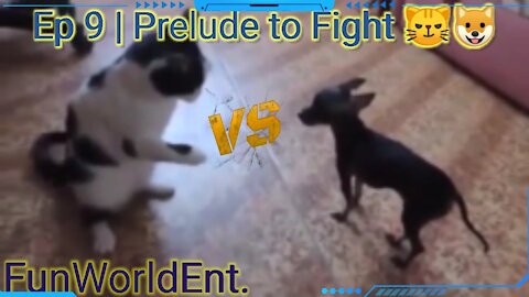Episode 9 | Preludes to fight 😼🐶