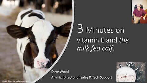 3 Minutes on Vitamin E and the Milk Fed Calf