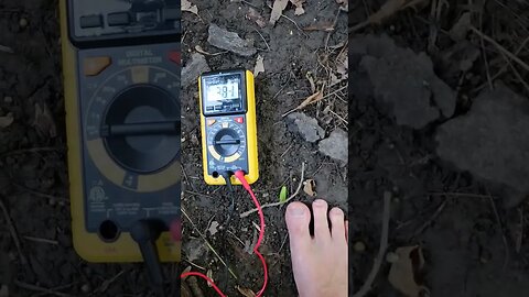 Will real shoes ground you? #shorts #grounding #grounded #electric #electricity