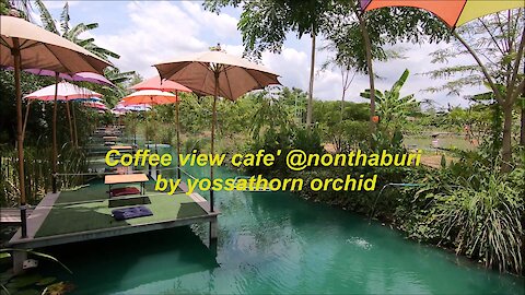 Coffee view cafe' @nonthaburi by yossathorn orchid