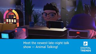 Meet The Newest Late Night Talk Show - Animal Talking!