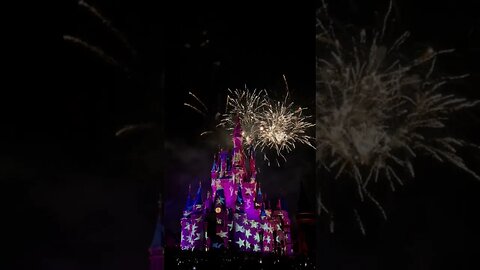 Disney's 4th of July!