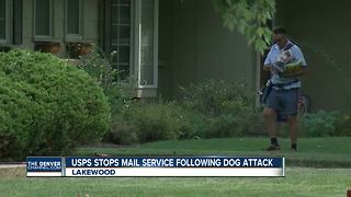 USPS halts mail service for Lakewood neighbors after dog attacks carrier