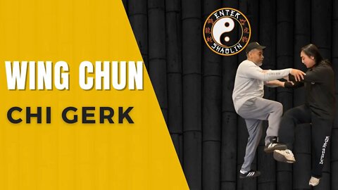 Wing Chun | Purpose Of Chi Gerk | Sticky Feet | Basic Training