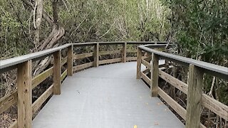 Peaceful Walk on Nature Paths at Lighthouse Beach Park