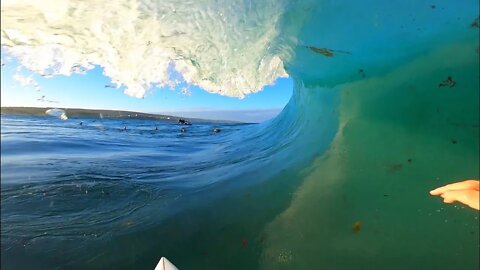 Some pov oysters found in Western Aus!