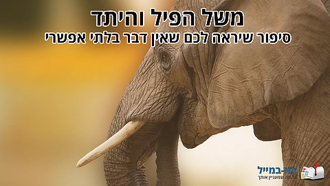 משל מרגש: סיפור הפיל והיתד