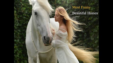 Most Funny & Beautiful Horses