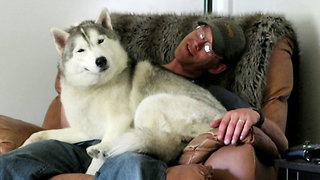 Smiling Husky demands more back scratches