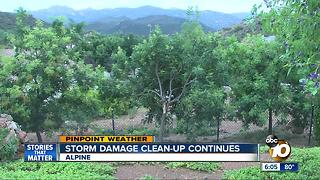 Storm damage clean-up continues