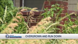 Residents fed up with unsightly overgrown property on Cleveland's west side