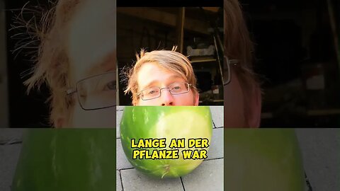 Daran erkennst du reife Wassermelonen 😍