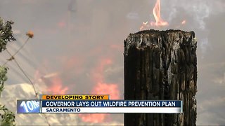 Wildfire prevention plan released