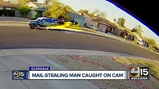 Man caught on camera stealing mail in Glendale